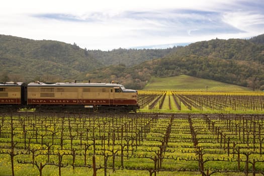 Napa Valley Wine Train