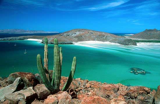 La Paz Coastline Baja
