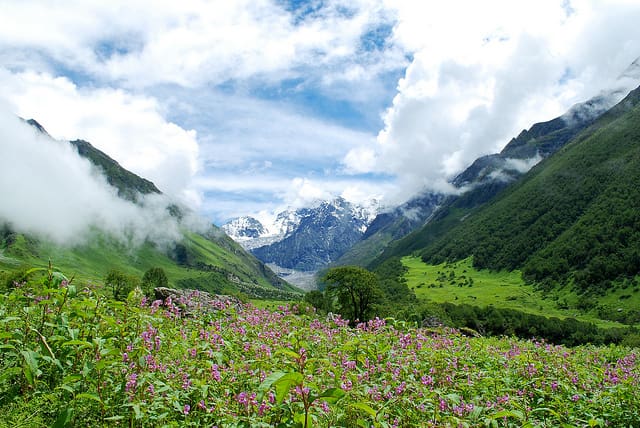 Valley of Flowers, Himalaya