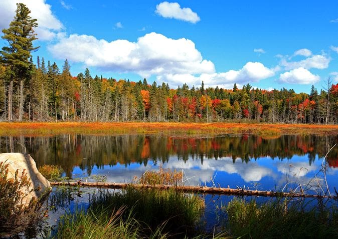 Algonquin Provincial Park Adventures | Wicked Good Travel Tips