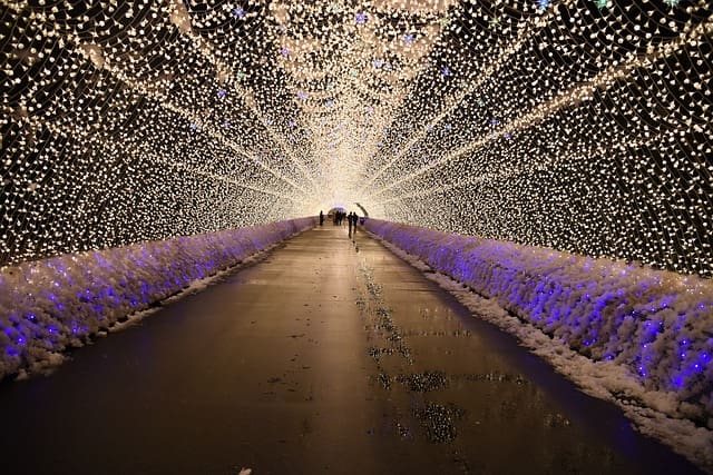 Japan Winter Lights