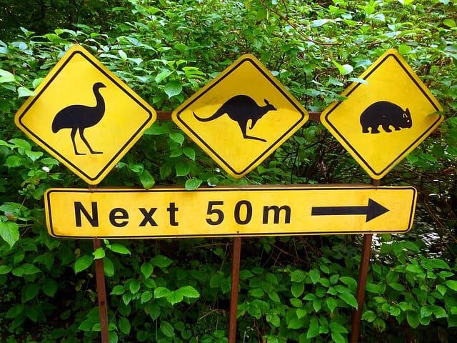 Australia Wildlife Signs