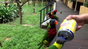 Bird Park Kuala Lumpur