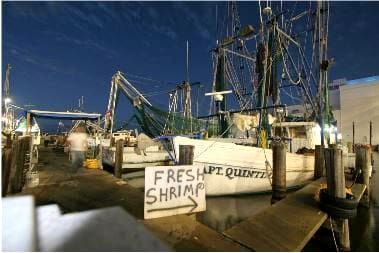 Biloxi Mississippi Shrimp Boat