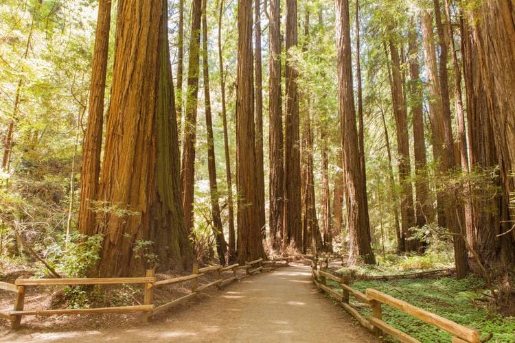 Visit California's Crown Jewels - 8 Spectacular National Parks | Wicked ...