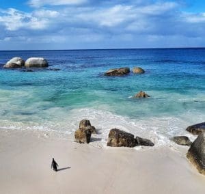 Cape Town Beach