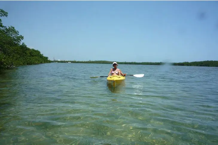 Key West Eco Kayak Tour