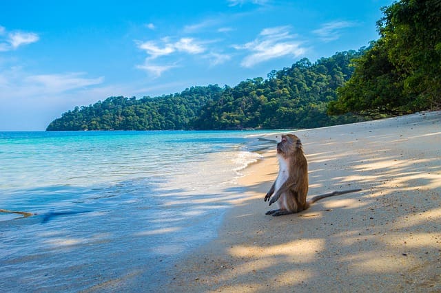 Secluded Thailand Beach