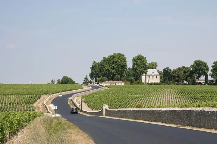 Bordeaux France Vineyard