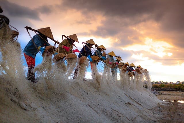 Salt Farmers Vietnam