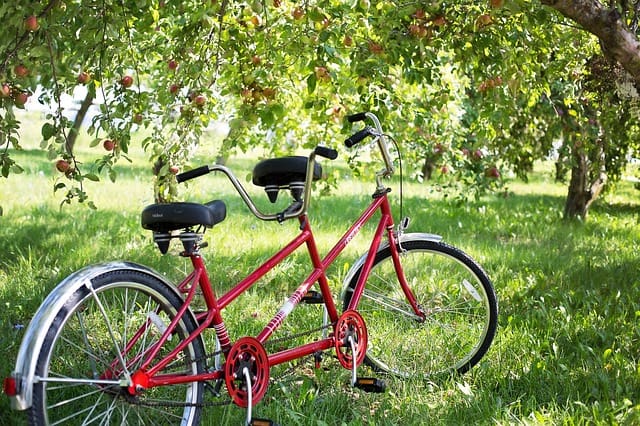 Tandem Bikes in Orchard