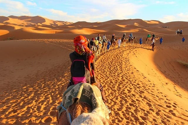 Morocco camel caravan