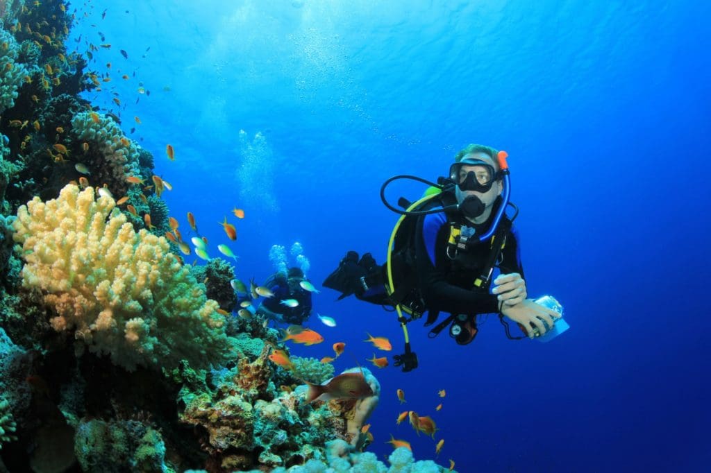 Essential Scuba Diving Tips