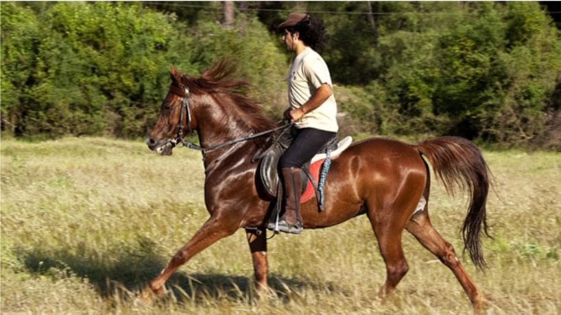 Turkey Horseback Riding Adventure