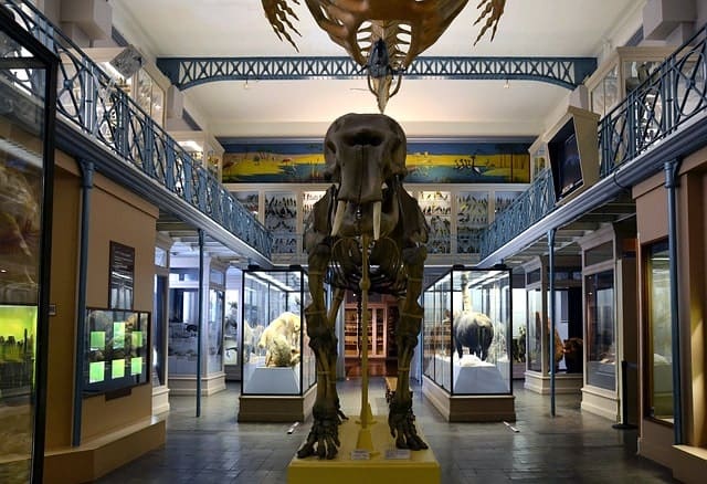 Paris Natural History Museum