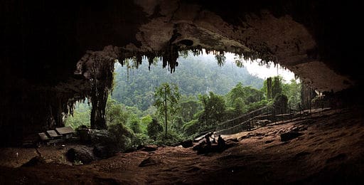 Sarawak Niah Caves