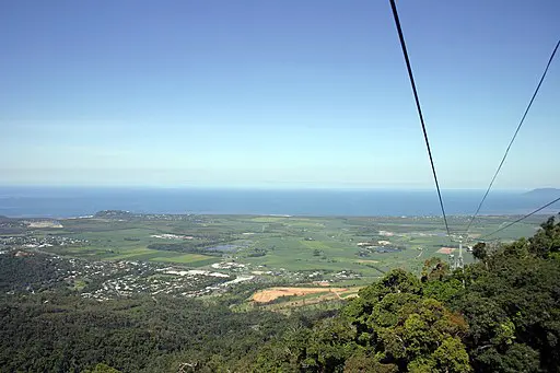 Cairns Skyrail Rainforest Experience