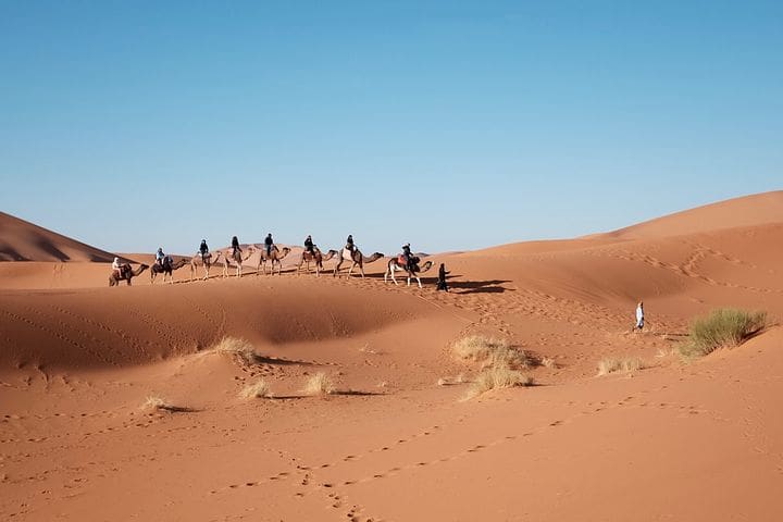 Sahara Desert Caravan Tour
