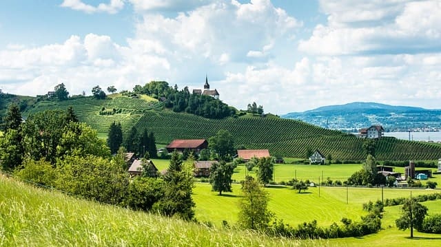 Zurich Landscape