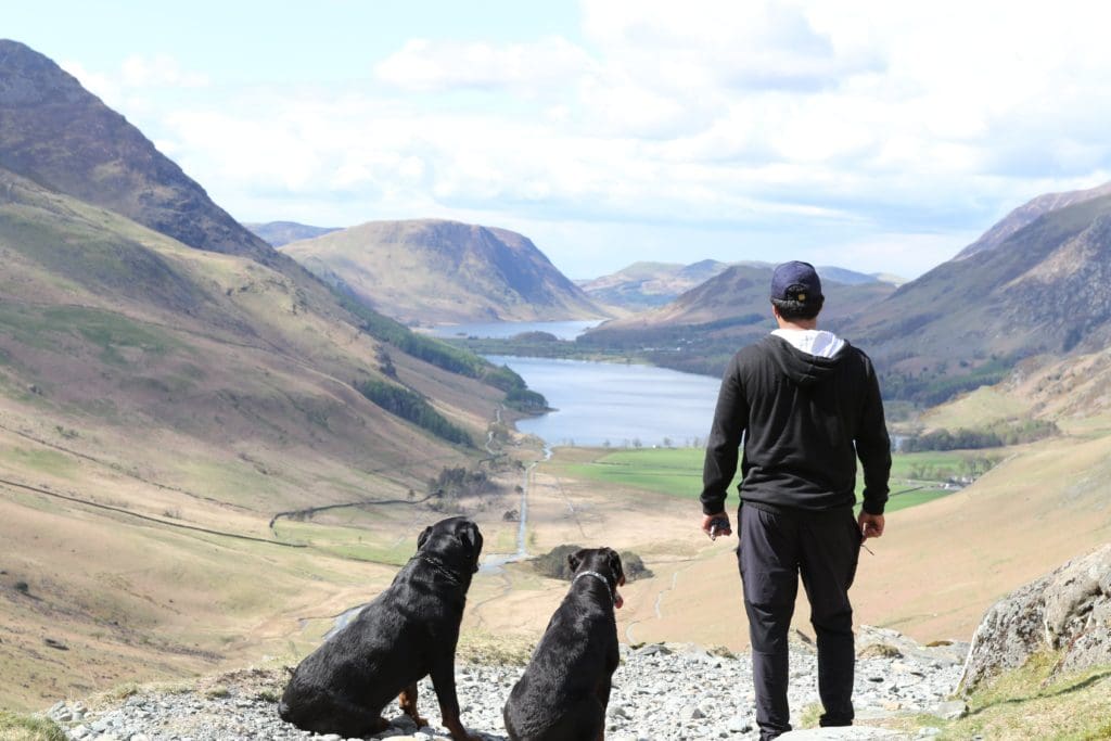 Man and Dogs with valley view