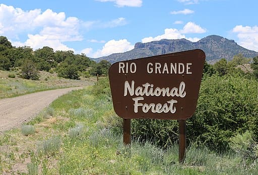 Rio Grande National Forest