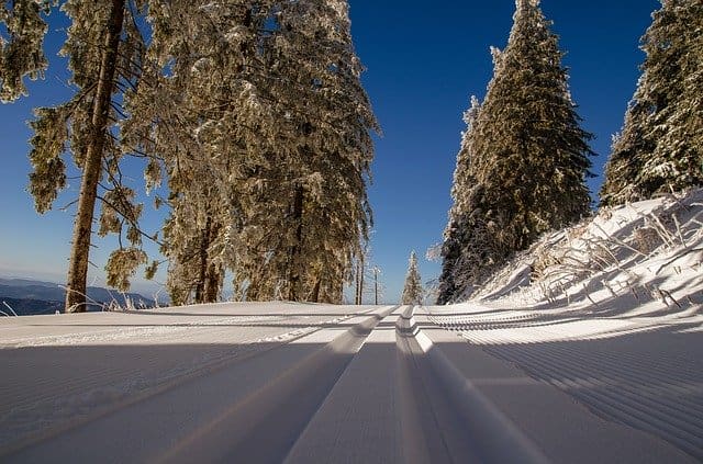 Colorado Corss Country Ski