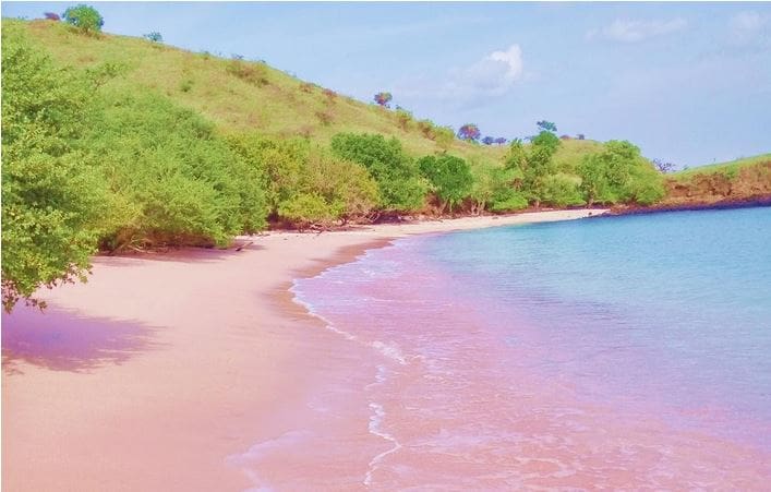 Pink Sand Beach Indonesia