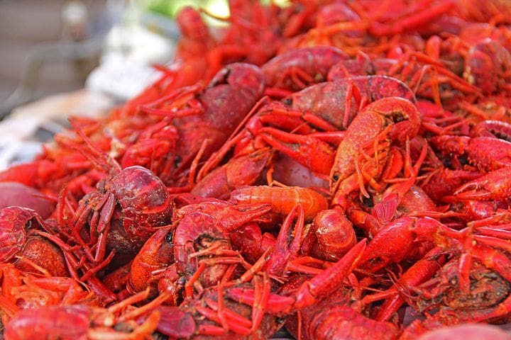 New Orleans Crawfish Festival