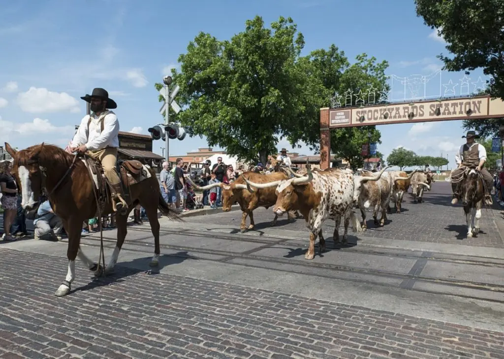 Annual Texas Festivals