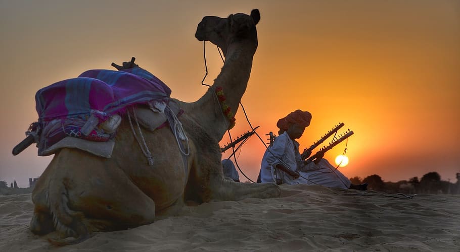 Sand Dunes Rajasthan India at Sunset