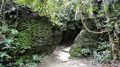 Limestone Caves Andaman Islands