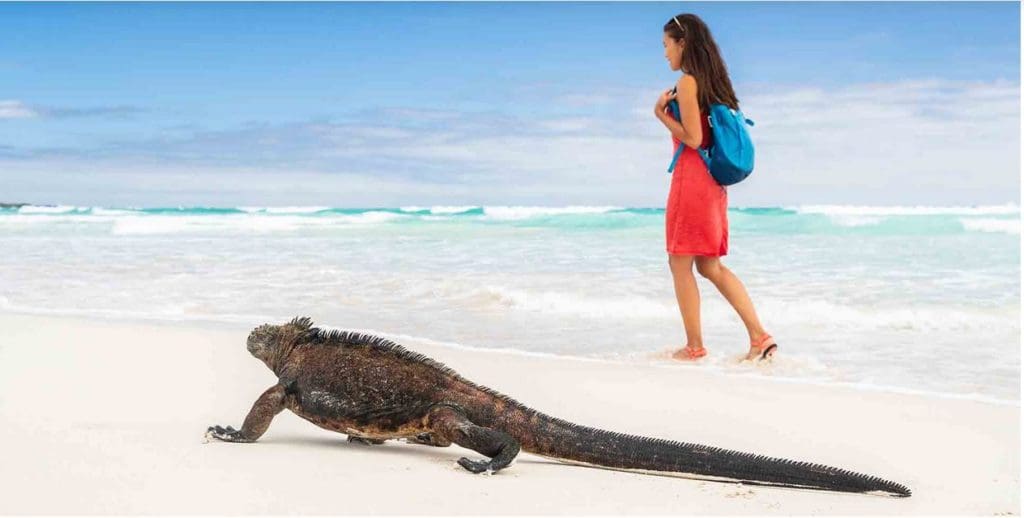 Galapagos Islands Travel Tips