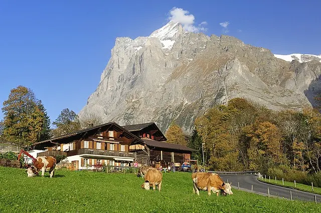 Grindelwald Hiking Tips