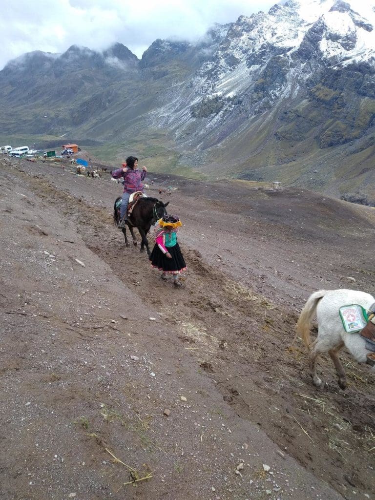 Donkey Rainbow Mountain Hike Peru