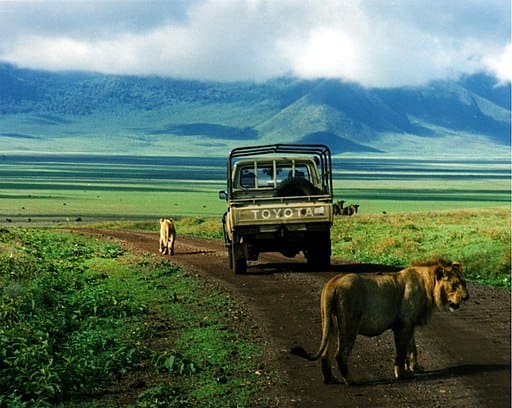 Ngorongoro National Reserve Tanzania