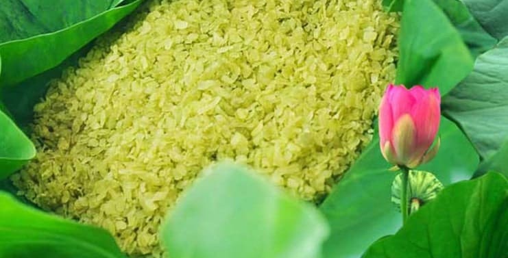 Green Rice Vietnam