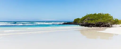Tortuga Beach, Galapagos Islands