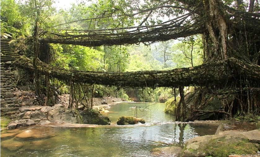 Nongkhnum India