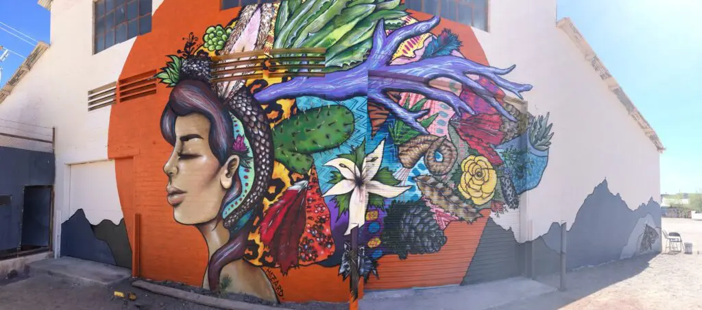 Miss Hazard Sonora Street Art