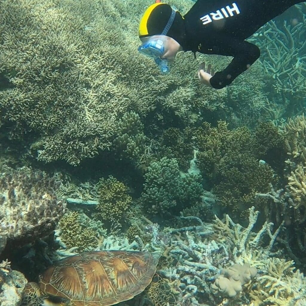 Snorkeling Great Barrier Reef