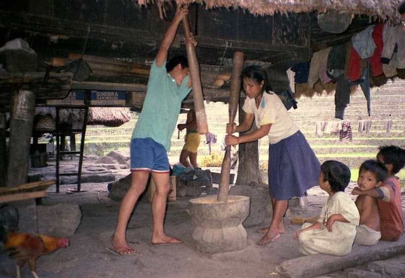 Traditional Batad Hut