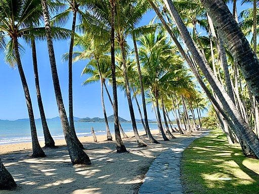 Palm Cove Queensland Australia