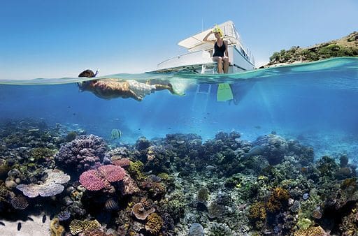 Great Barrier Reef snorkeling