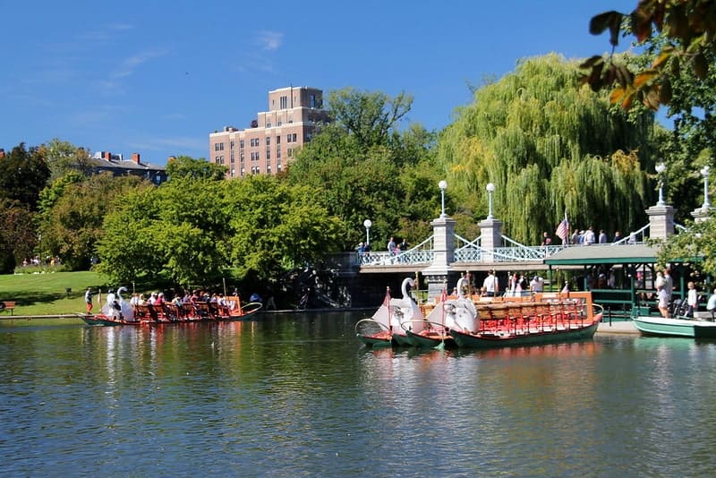 Swan Boats Boston Public Garden