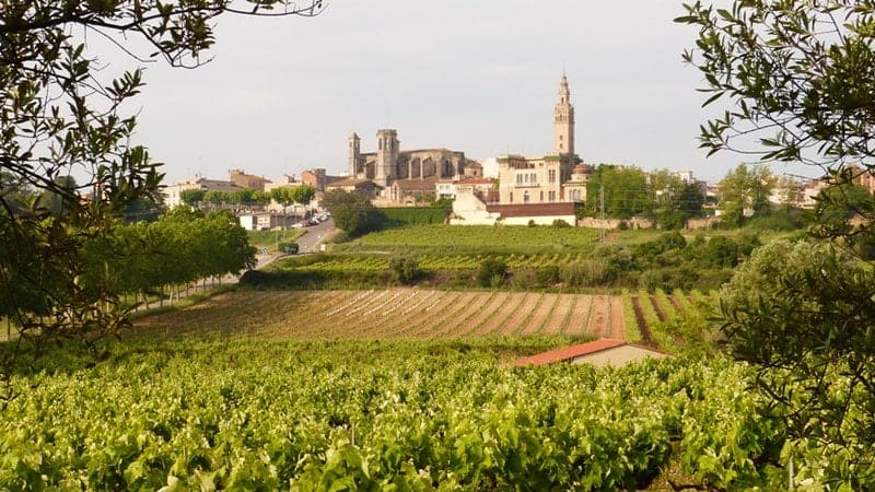 Penedès Wine Region Spain