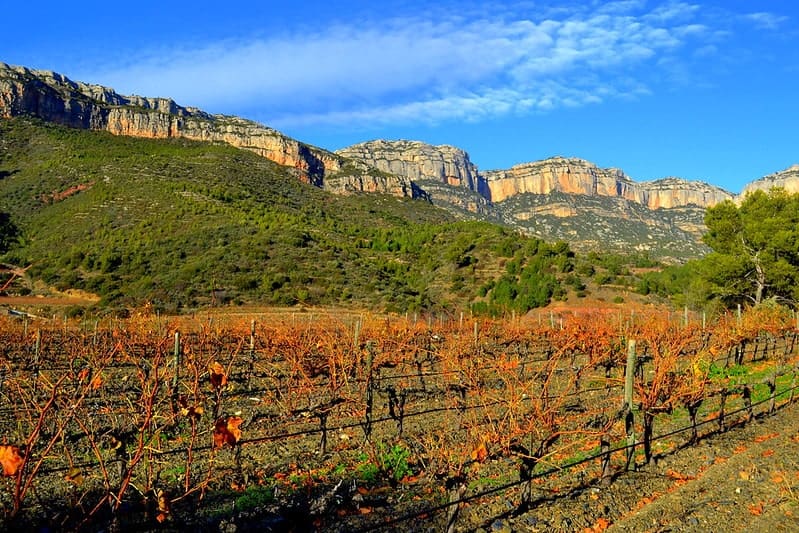 Priorat Wine Region Spain