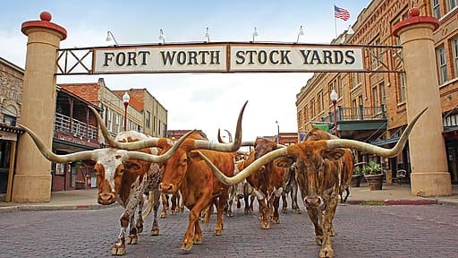 Fort Worth Stock Yards by Briaande
