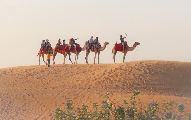 Dubai Desert Excursion
