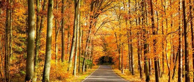Camping, Pixabay