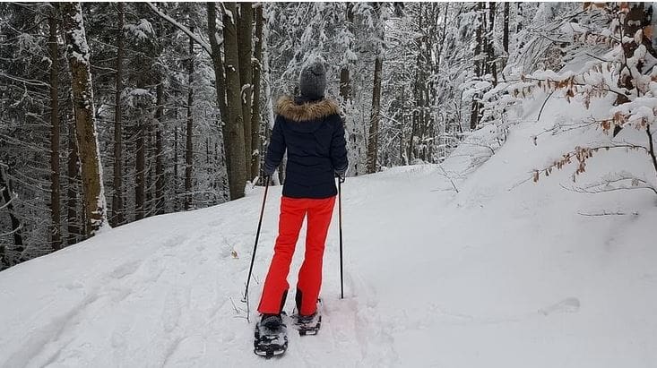 Snowshoeing in Switzerland